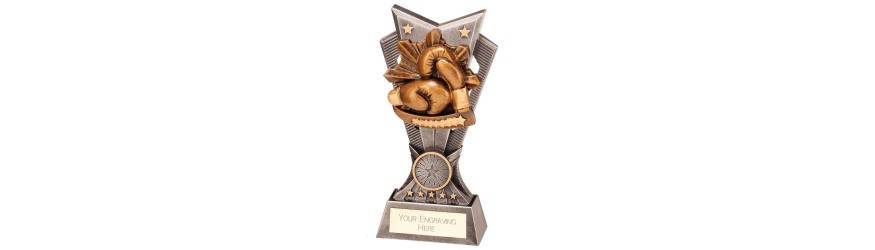 SPECTRE BOXING RESIN TROPHY - 3 SIZES - 15CM - 20CM SPECTRE BOXING RESIN TROPHY - 3 SIZES - 15CM - 20CM